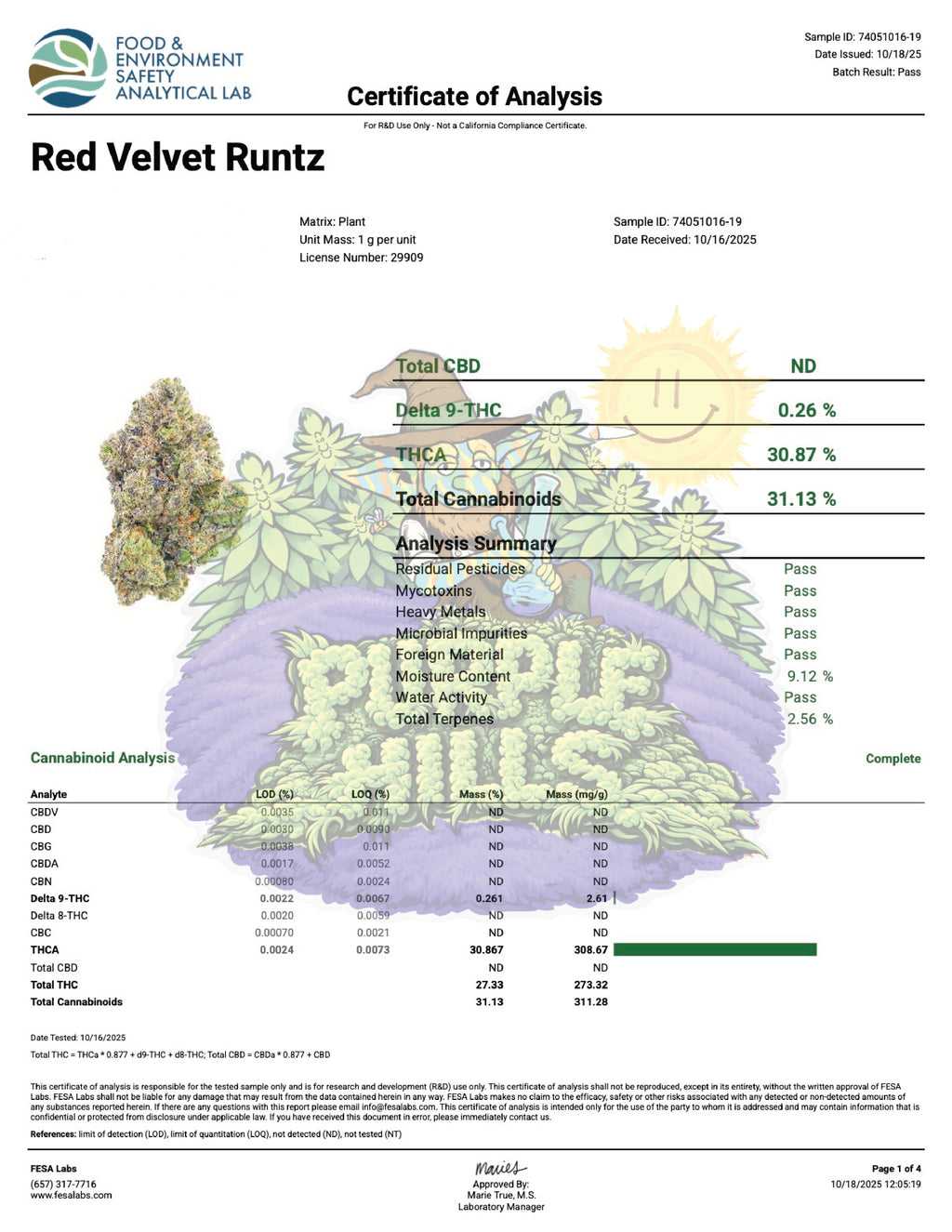 Magic Buds Hydro- Red Velvet Runtz Indica Hybrid